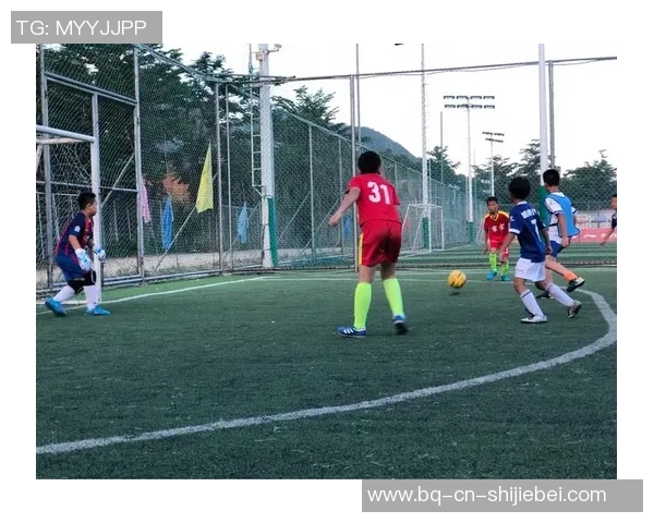 小小足球队的成长故事与团队精神的启示阅读答案解析 小小足球队的成长故事与团队精神的启示阅读答案解析